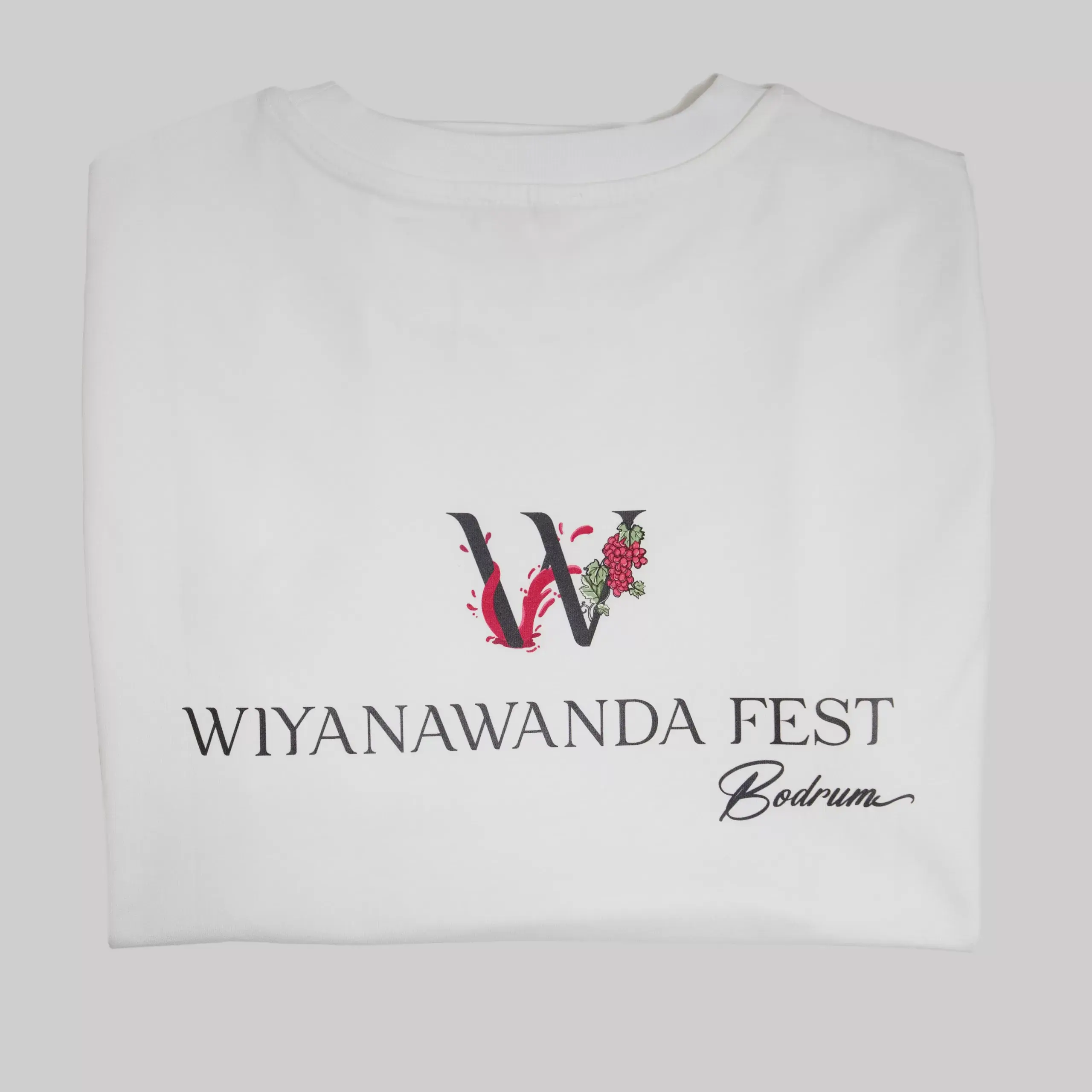 Wiyanawanda Fest Logolu Beyaz Üniseks Kısa Kollu T-Shirt - Görsel 5